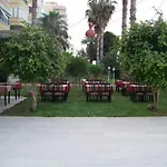 Alanya Rose