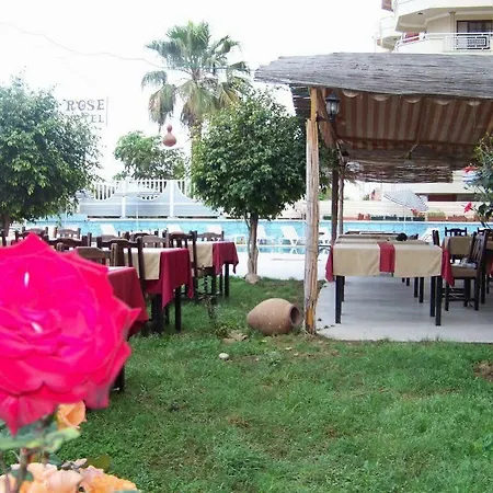 Alanya Rose